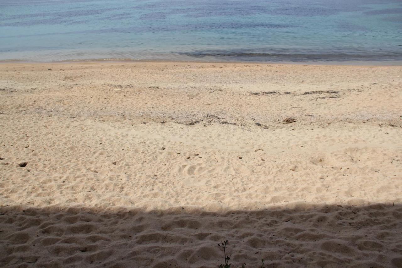 Studio Pieds Dans L'Eau Аяччо Экстерьер фото